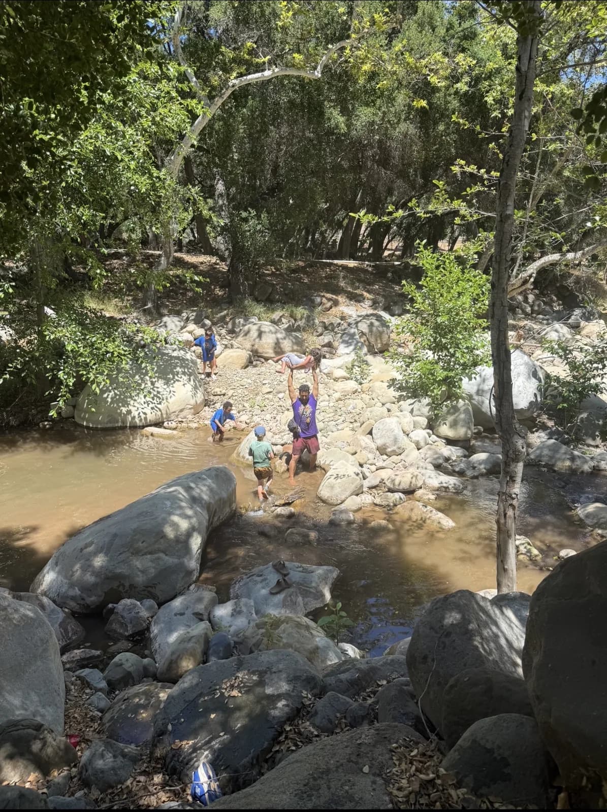 Children playing and investigating in a shaded creek