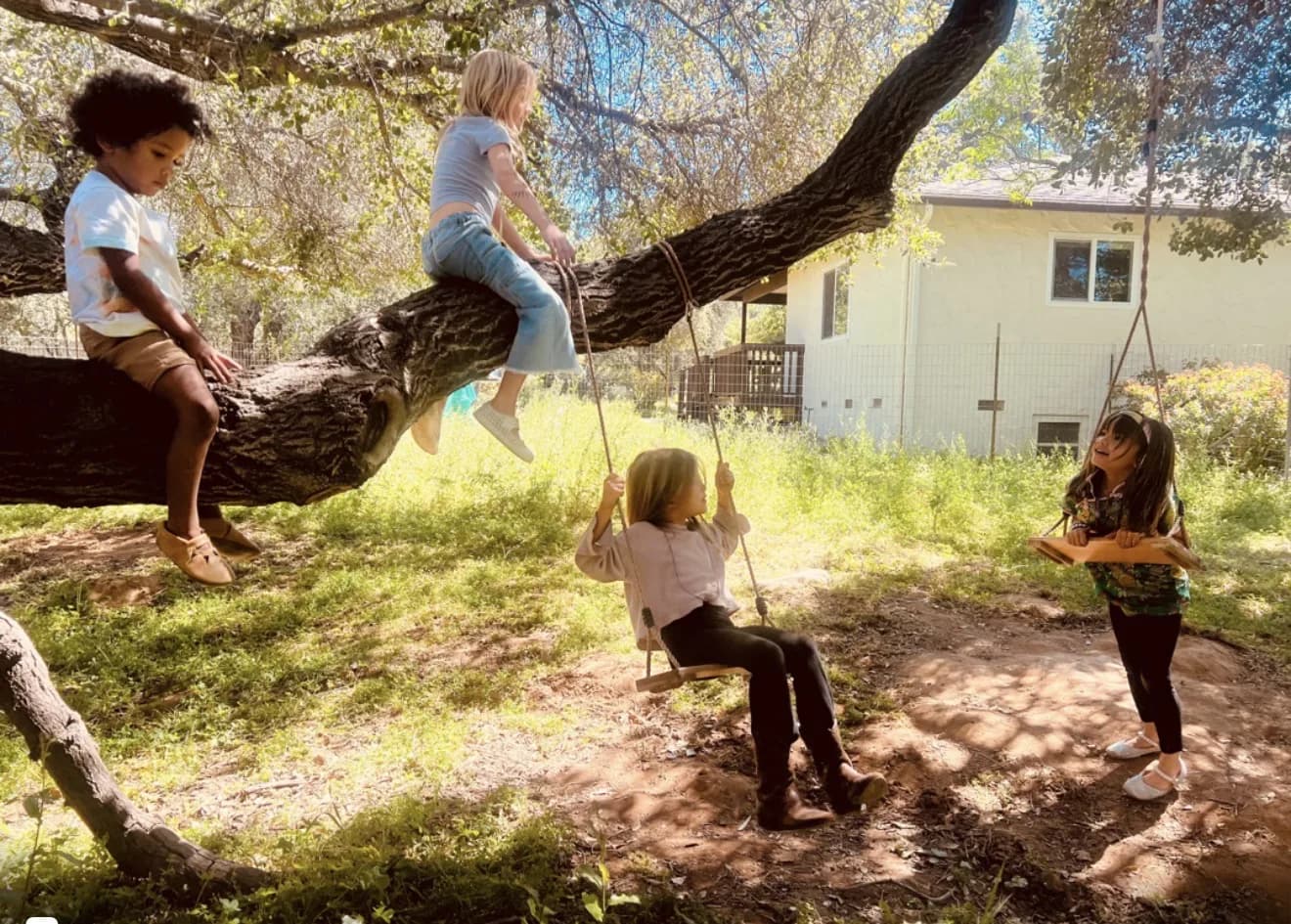 Children climbing and swinging from the branches of a large tree