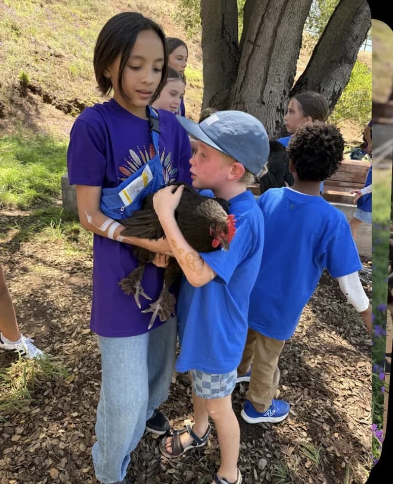 Children practicing gentle care while holding a chicken