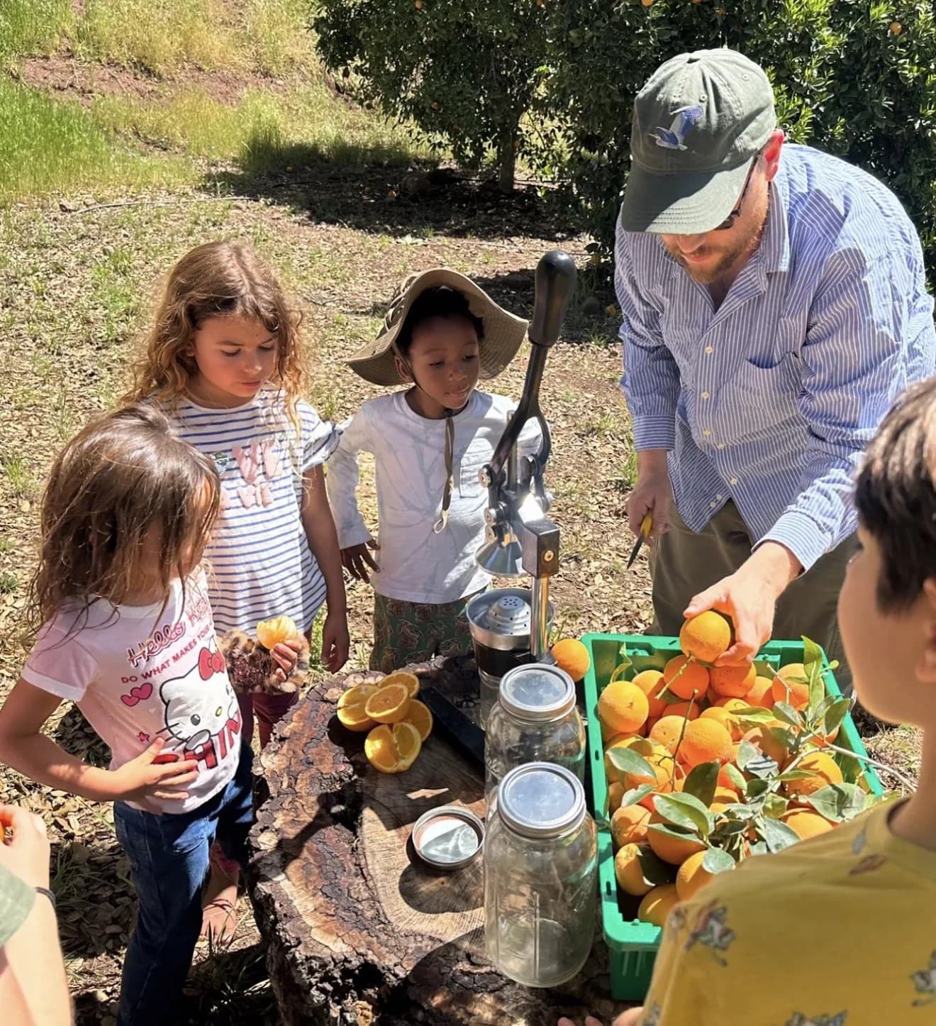Children transforming fresh oranges into juice outdoors